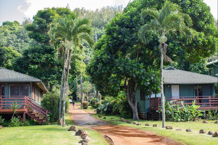 Hostel North Shore