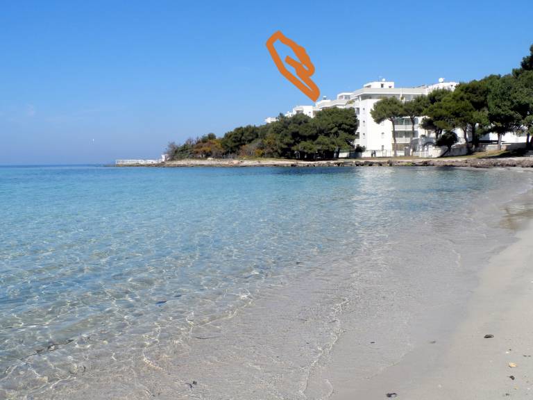 Appartement Conchiglie-Alto Lido