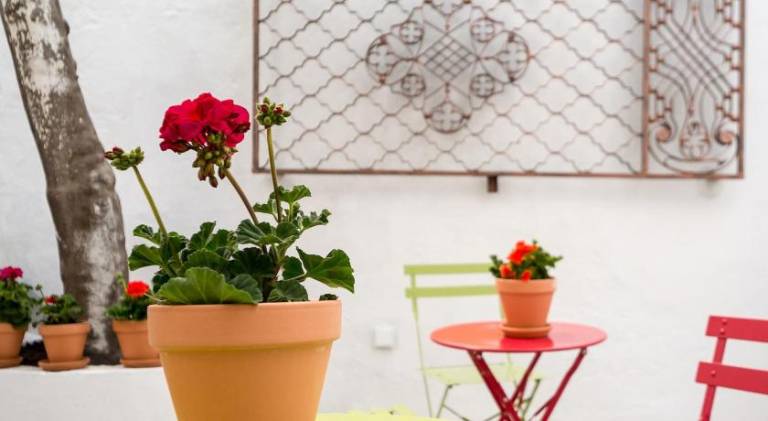 Apartment with terrace | Next to Seville Cathedral — photo 5