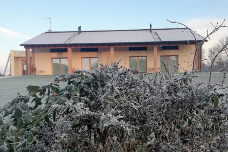 foto41