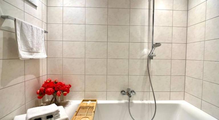 Apartment with 1 room for 3 persons — photo 4