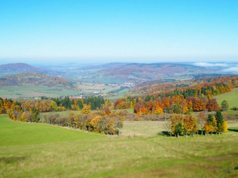 foto8