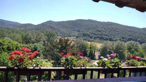Chalet Vall de Bas
