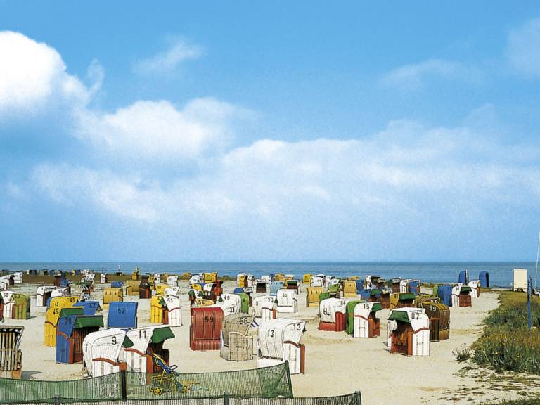 foto37