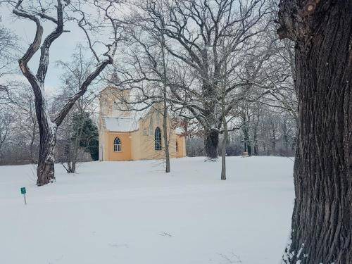 foto13