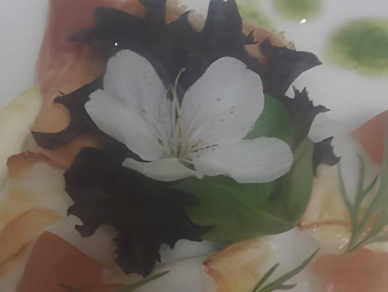 foto47