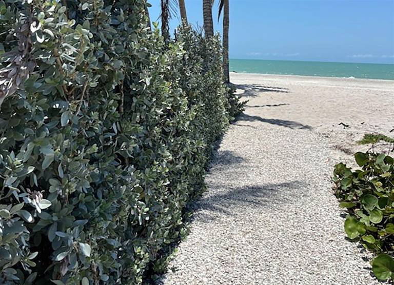 House Sanibel
