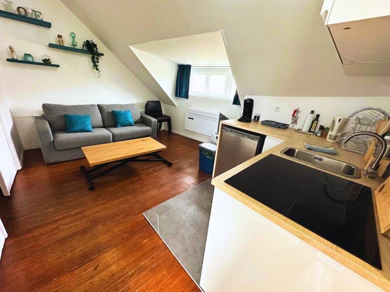 Wonderful apartment | Pets are welcome in Reims
