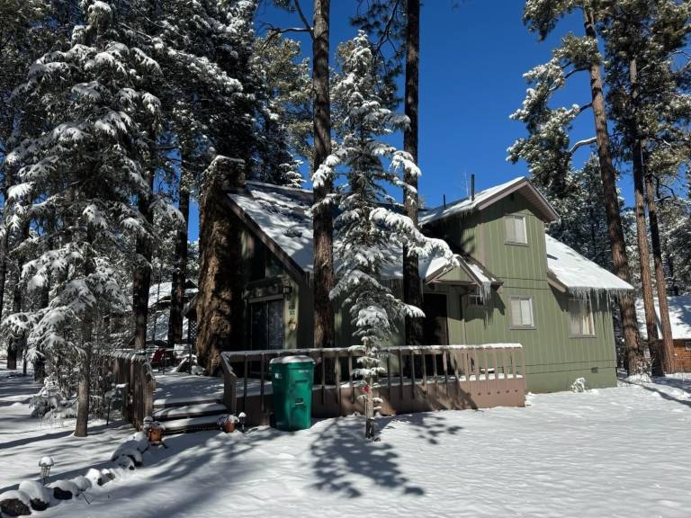Cabin Pinetop