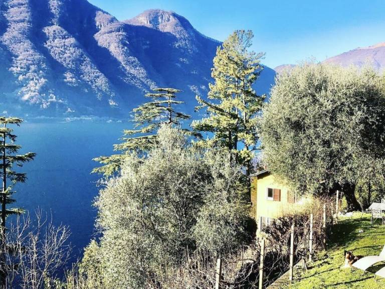 Beautiful apartment | Pets allowed in Argegno