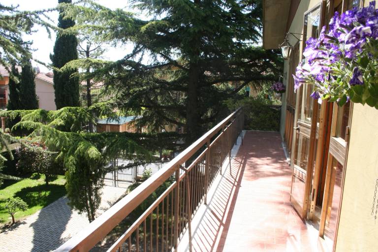 foto5