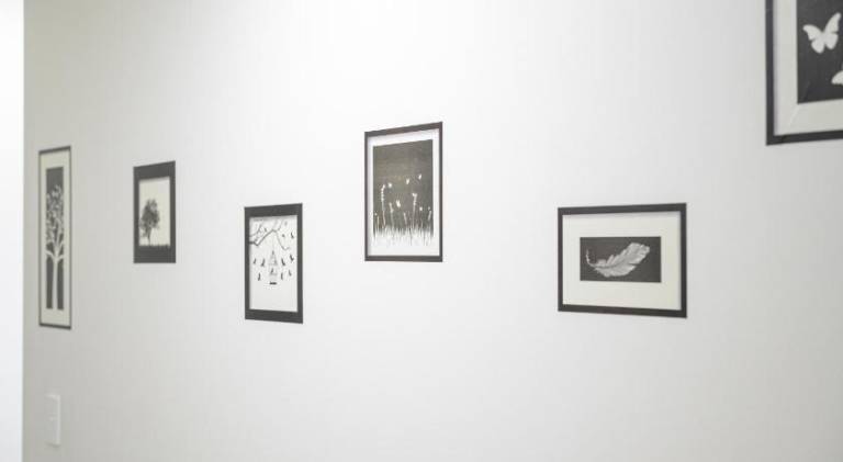 foto23