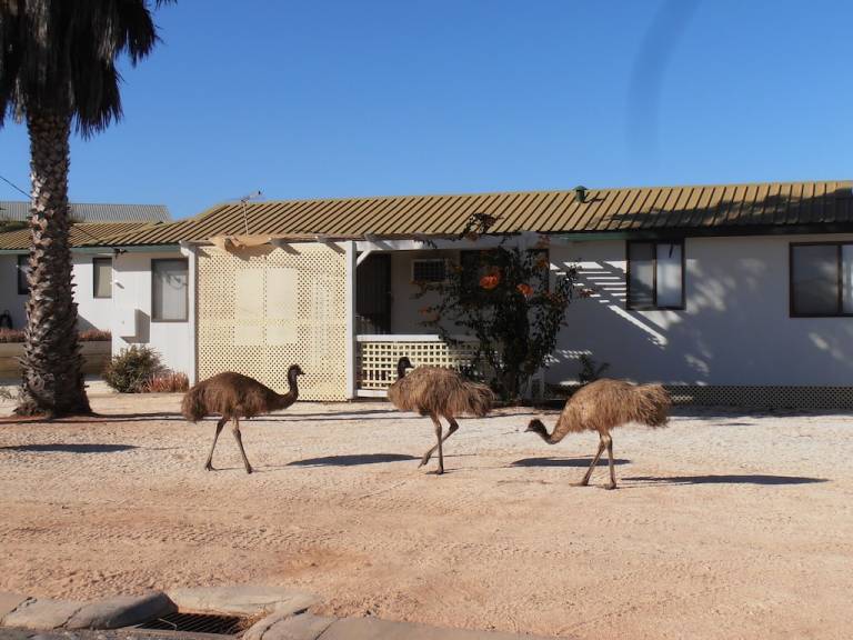 House Denham