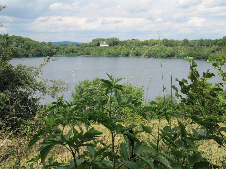 foto11