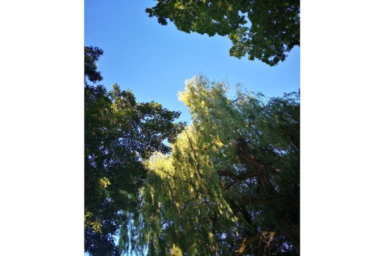 foto28