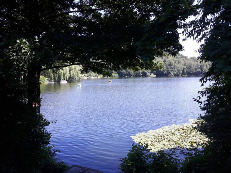 foto16