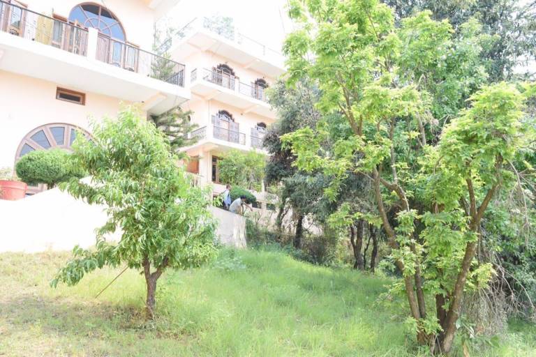 Himalaya Mount View Resort — photo 3
