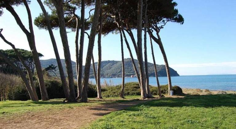 Rental apartment with 1 room for 2 persons in Campiglia Marittima