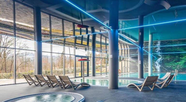 Wonderful apartment with hot tub, private pool & terrace | Pets allowed in Szklarska Poreba