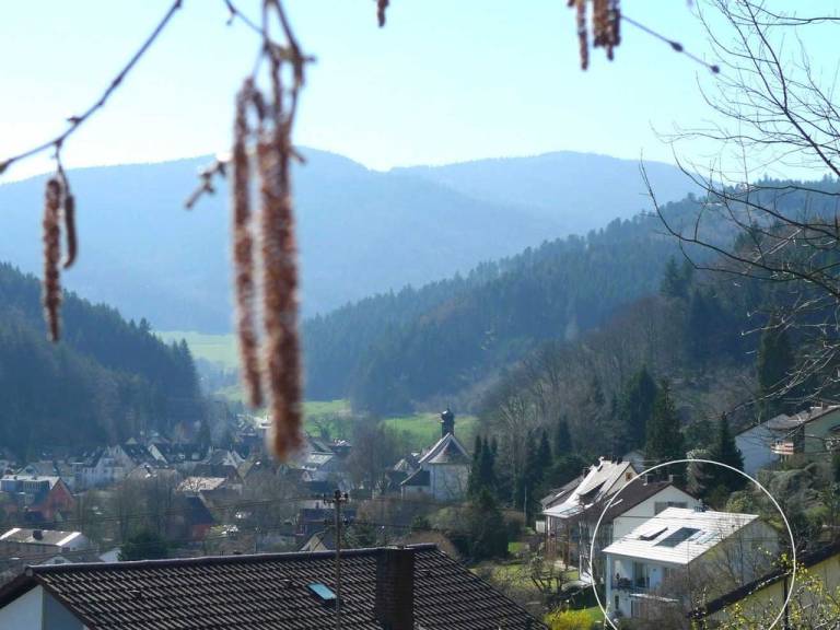 foto28