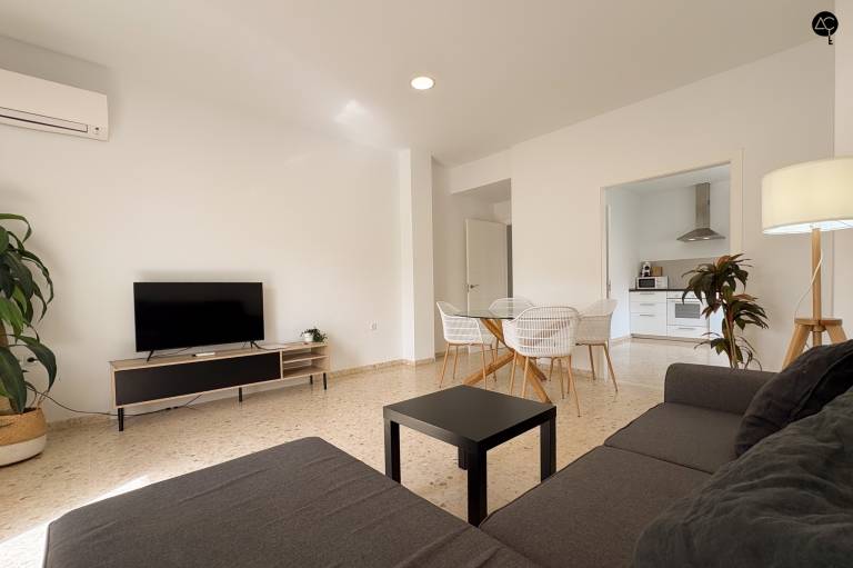 Beautiful rental apartment with terrace | Close to Cádiz Cathedral | Beach nearby | Pets are welcome — photo 4