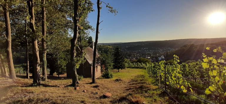 foto22