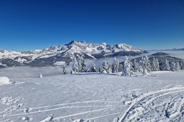 foto21