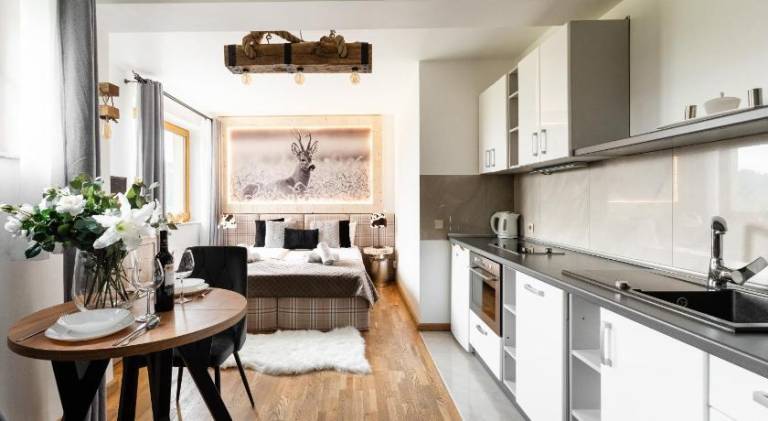 Serviced apartment with sauna, patio & yard | Pet-friendly — photo 3