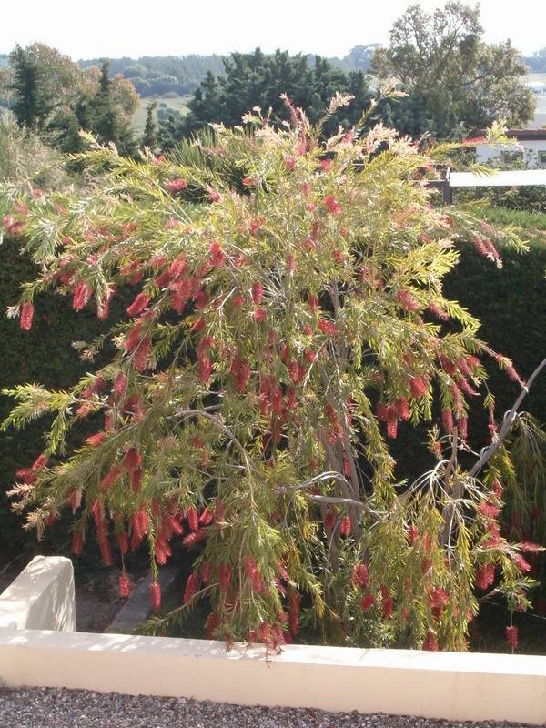 foto8