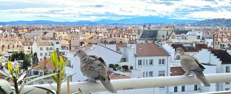 Appartement  Carnot - Gailleton