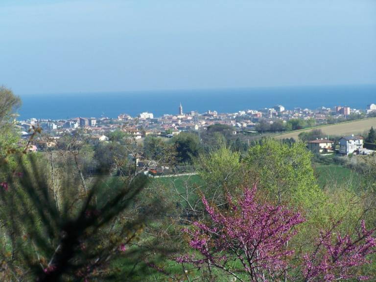 foto1