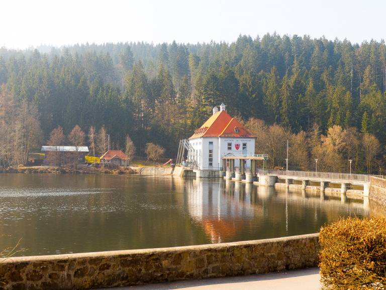 foto21