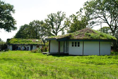 Buzzards Nest Glamping Holly