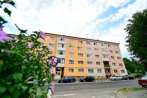 Apartament  Hipodrom IV