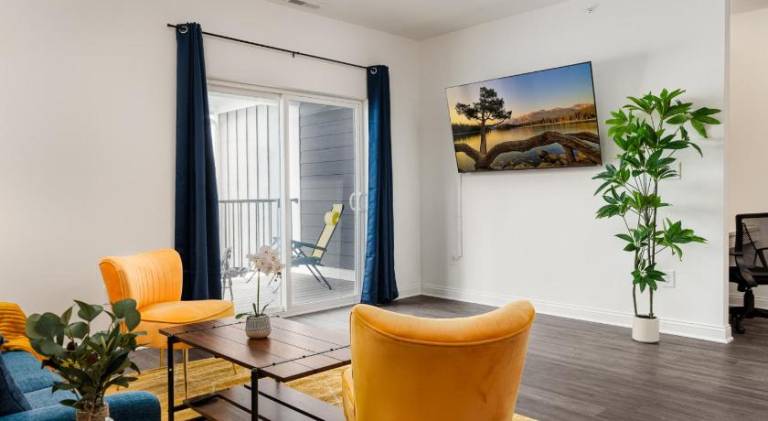Golden Sun Spacious 1BR Pond View King Bed WFH Gym — photo 2