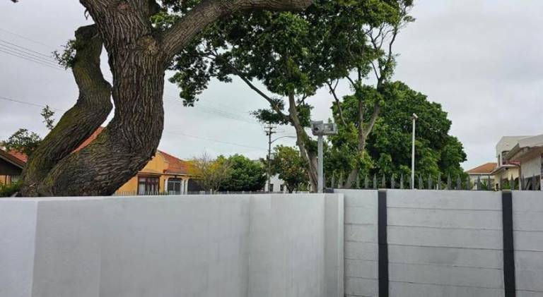 foto8