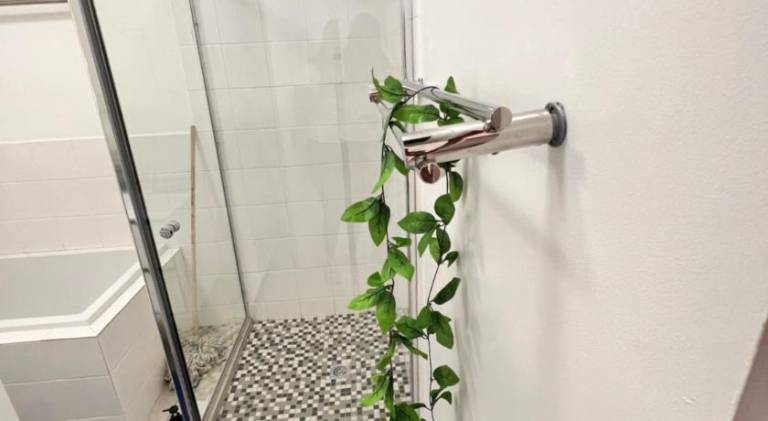 foto46