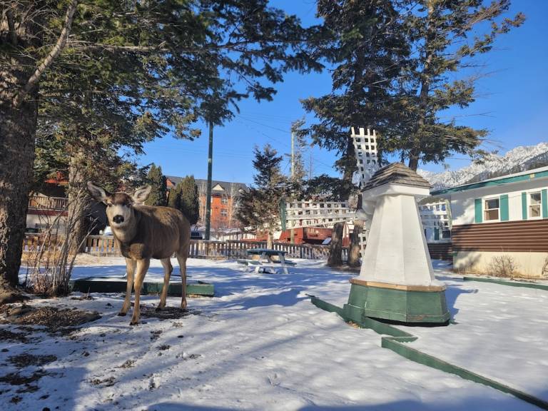 Motel Radium Hot Springs