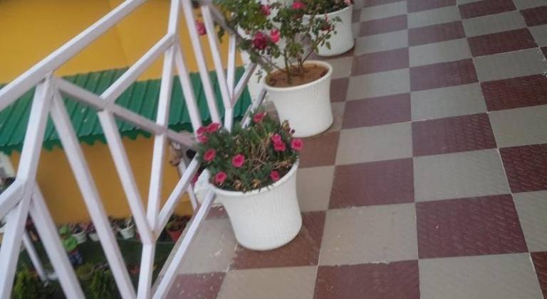 foto11