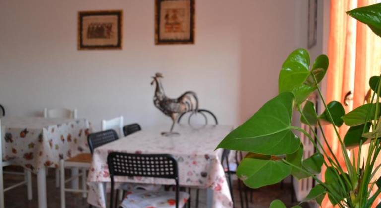 Il Giardino del Gallo — photo 3
