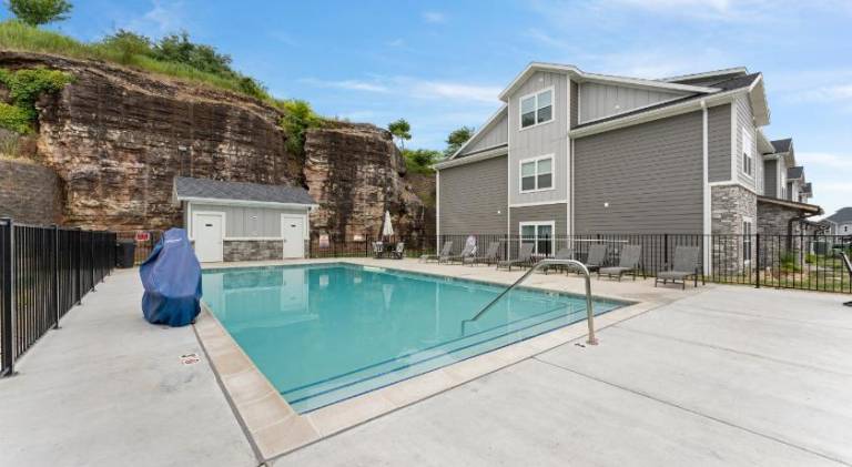 Branson Seasons Luxury Condo Pets Pool Grill Game Room Balcony — photo 5