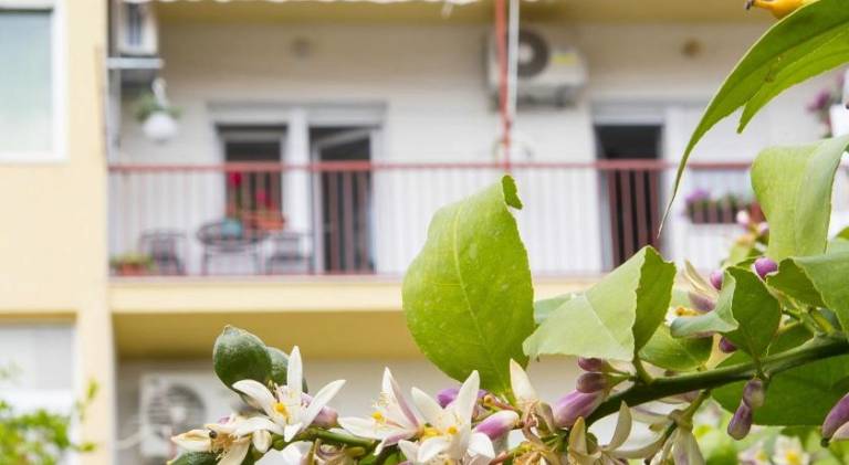 Rental apartment | Pets are welcome in Split