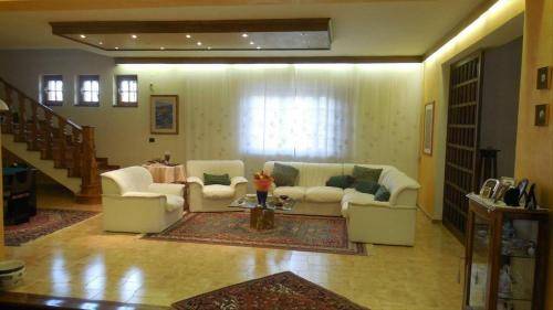 foto8