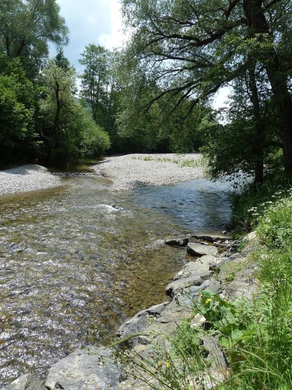 foto16