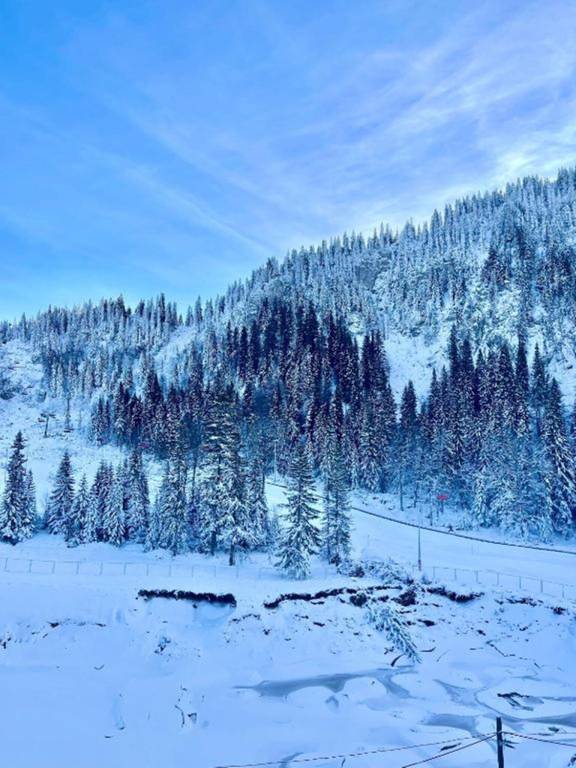 Apartment Jahorina