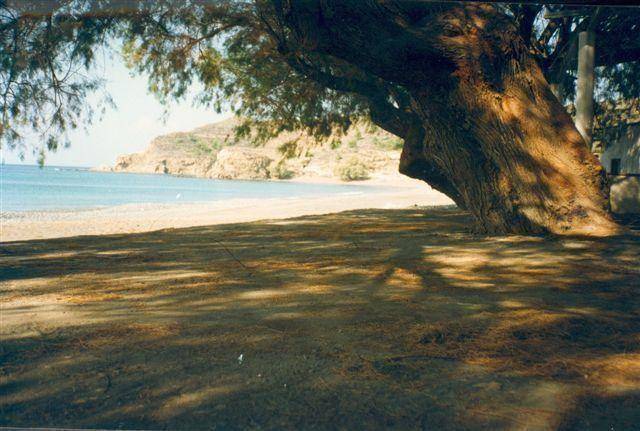 foto20