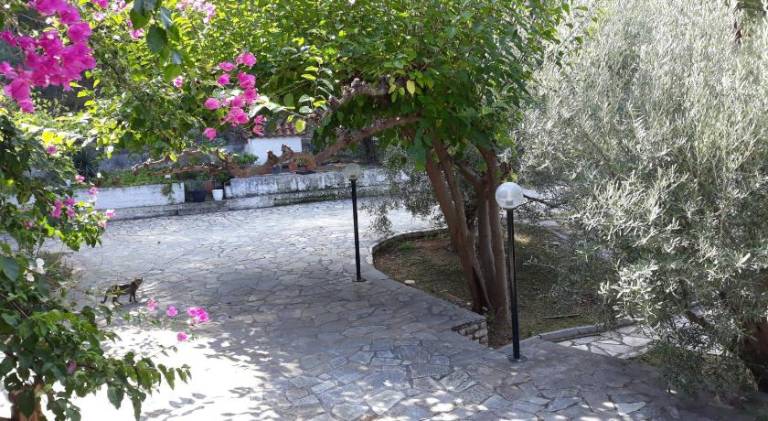 Διαμέρισμα  Limani Nafpliou