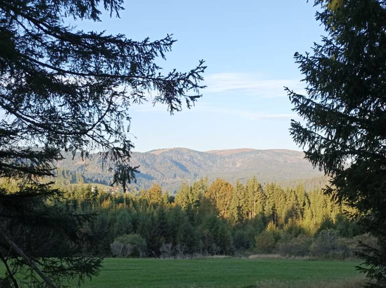 foto11