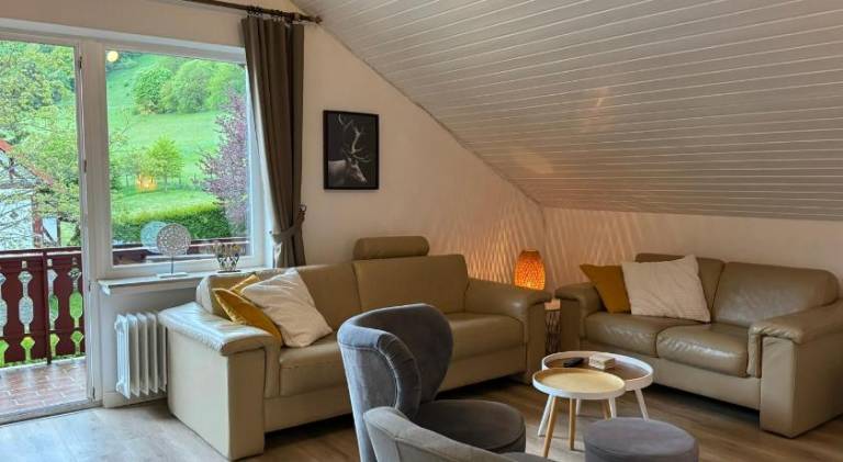 Pleasant rental apartment | Dogs allowed in Willingen