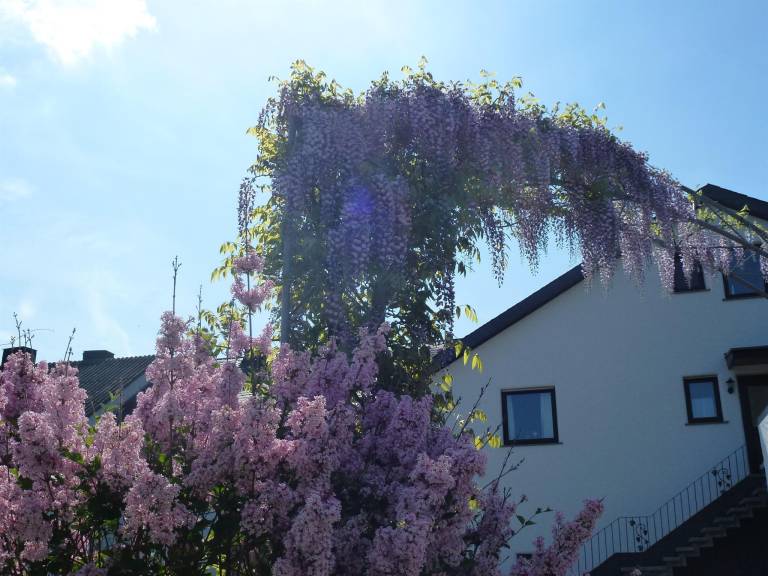 foto27